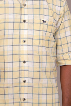 Oxford cotton - Yellow & white checks